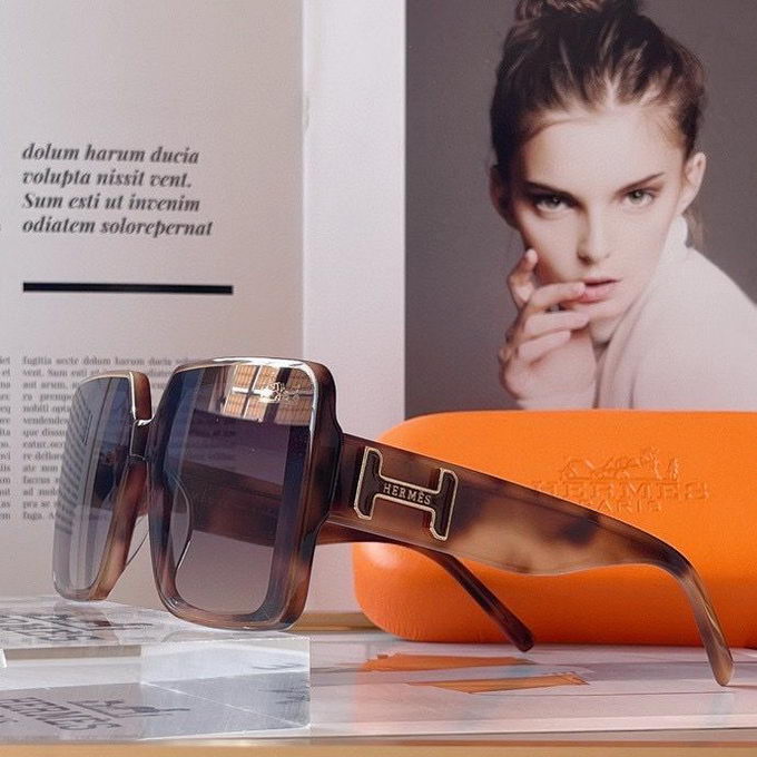 Hermes Sunglasses ID:20230331-109